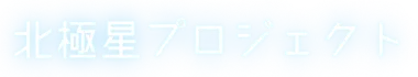 北極星プロジェクト